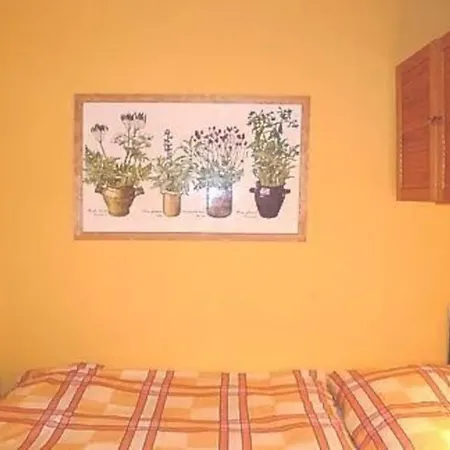 Chavonnes 21