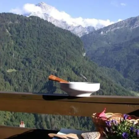 Chavonnes 21 格里翁