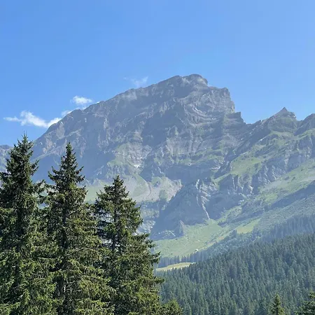 Chavonnes 21 * 格里翁