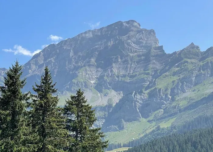 Chavonnes 21 * Gryon