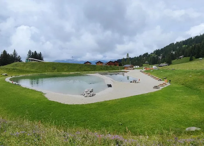 Chavonnes 21 * Gryon